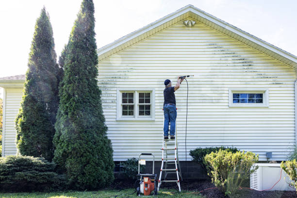 Professional Pressure Washing Services in Shoreline, WA