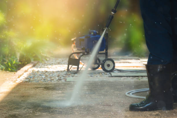 Animal Enclosure Cleaning in Shoreline, WA